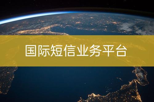 國際短信業(yè)務(wù)平臺