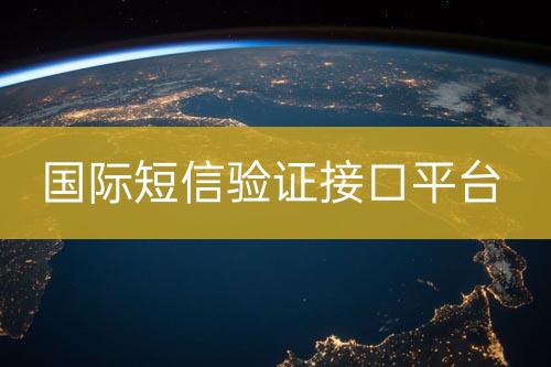 國(guó)際短信驗(yàn)證接口平臺(tái)