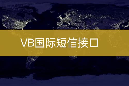 VB國(guó)際短信接口
