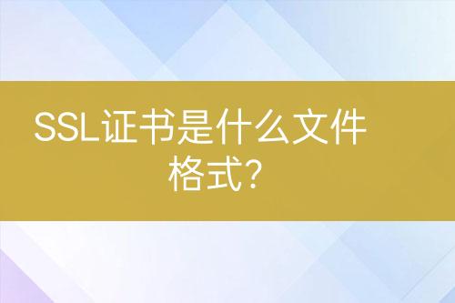 SSL證書是什么文件格式？