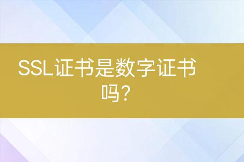 SSL證書是數(shù)字證書嗎？