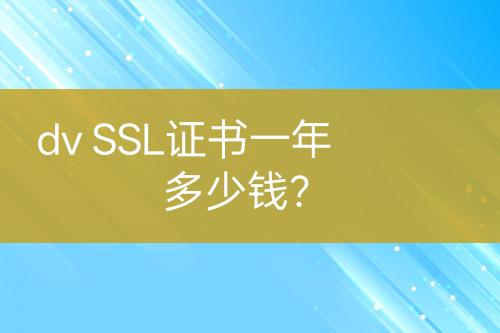 dv SSL證書一年多少錢？