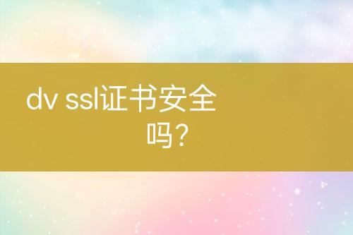 dv ssl證書安全嗎?