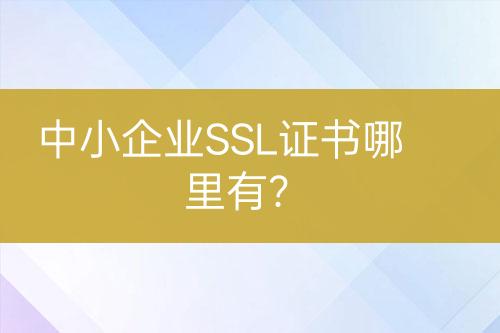 中小企業(yè)SSL證書哪里有?