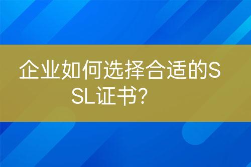 企業(yè)如何選擇合適的SSL證書?