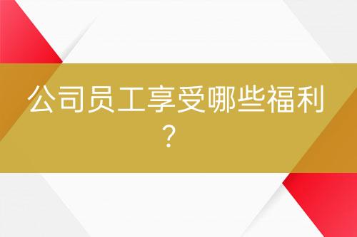 公司員工享受哪些福利？