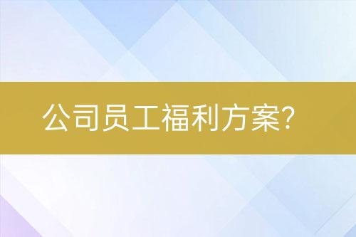 公司員工福利方案?