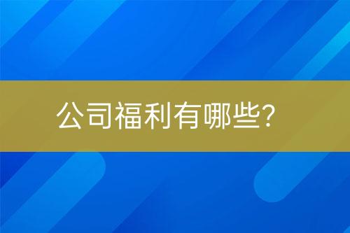 公司福利有哪些？