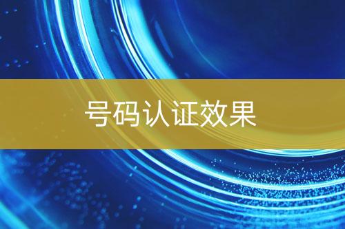 號碼認證效果