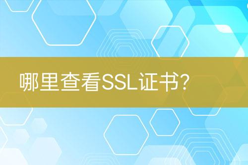 哪里查看SSL證書？