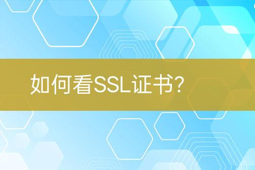 如何看SSL證書？