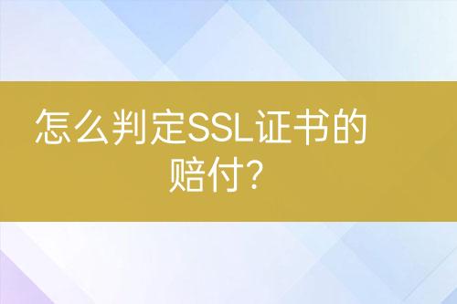怎么判定SSL證書的賠付？