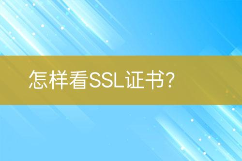 怎樣看SSL證書?