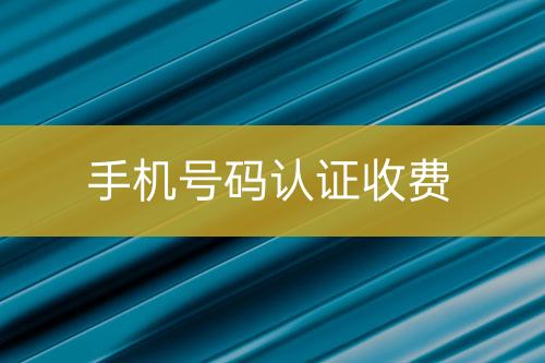 手機(jī)號(hào)碼認(rèn)證收費(fèi)