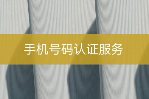 手機(jī)號(hào)碼認(rèn)證服務(wù)