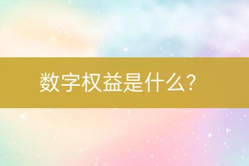 數字權益是什么？