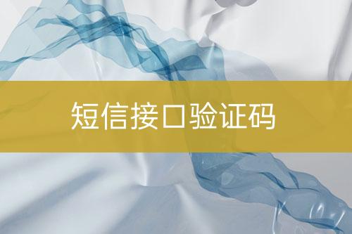 短信接口驗證碼