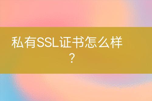 私有SSL證書怎么樣？