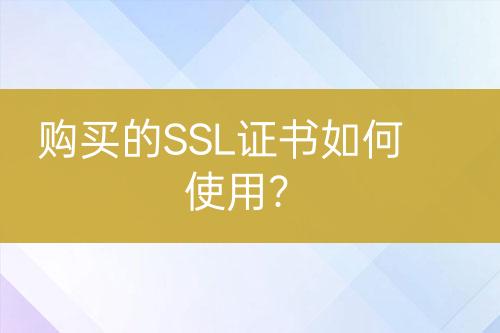 購買的SSL證書如何使用？